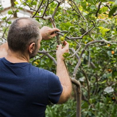 gardening-concept-with-man-planting